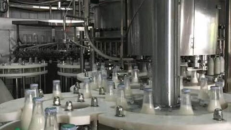 揭秘国内食品机械生产厂家排名背后的考量因素