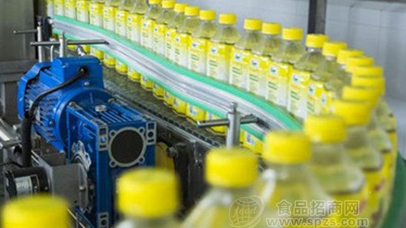 小型烘焙设备厂家：从贴牌代工到自主技术的分野