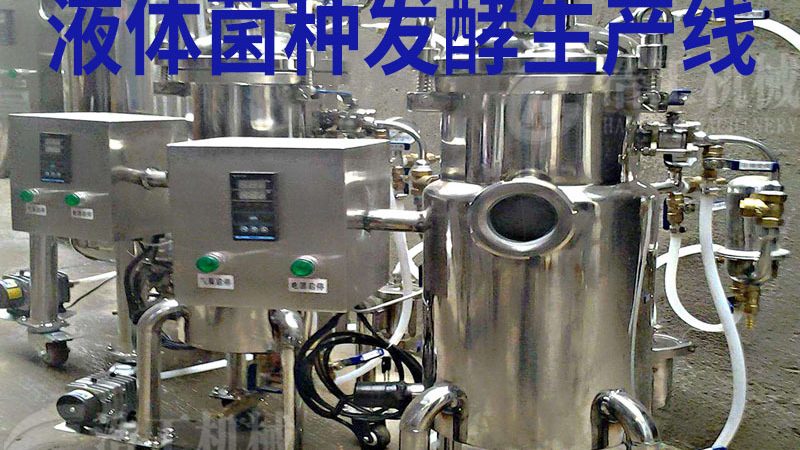 山东多功能面食机：揭秘其优缺点与选型要点